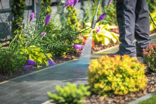 Best Winterizing Services  in St John, IN